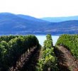 Okanagan