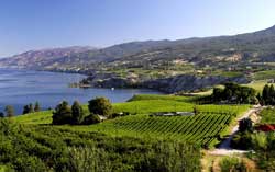 Wine Tour - Okanagan Valley