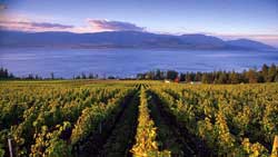 Vallée d'Okanagan