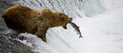 Fish Creek