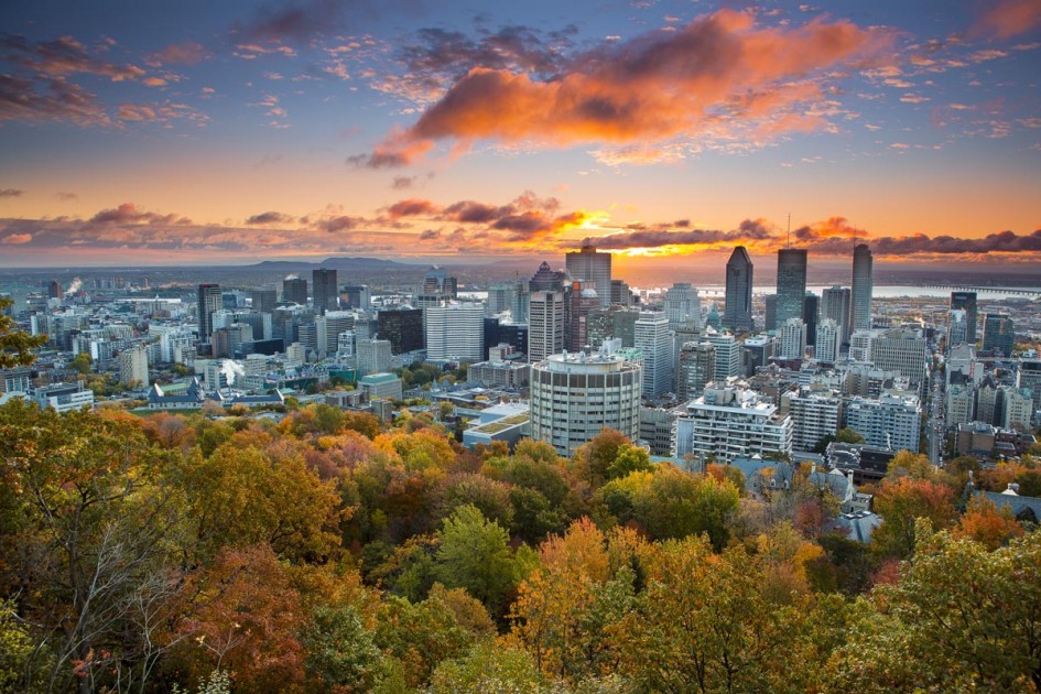 tour de la ville montreal