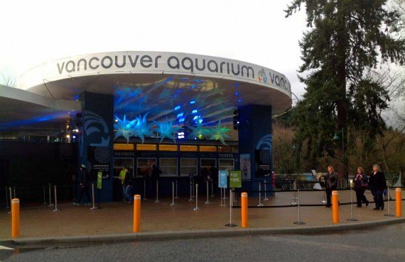 1-aquarium-vancouver.jpg 1-aquarium-vancouver.jpg