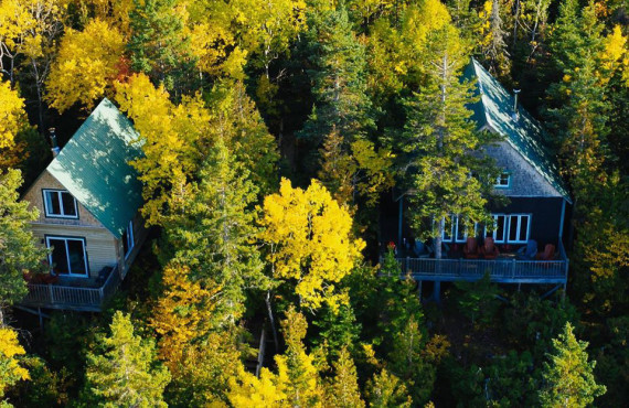 Les chalets en forêt Les chalets en forêt