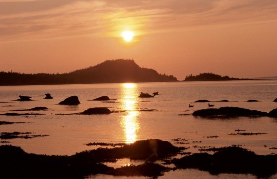 Guide Voyage Du Parc Du Bic 2020 Pdf Gratuit à Imprimer