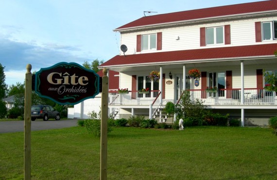 Gîte aux Orchidées Gîte aux Orchidées