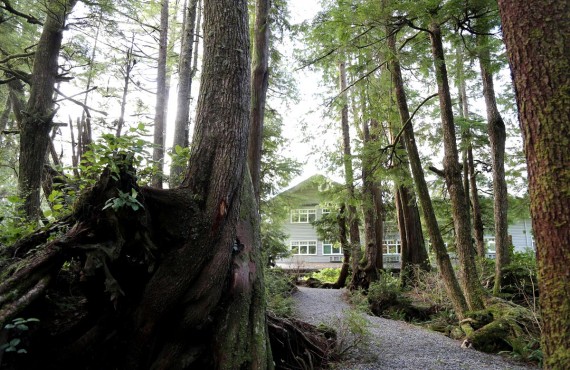 1-jamies-rainforest-inn 1-jamies-rainforest-inn