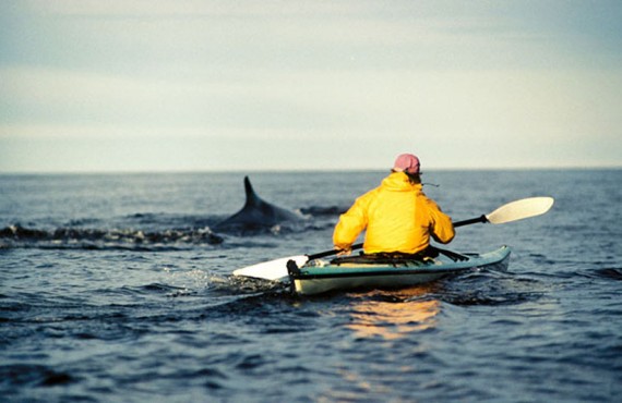 1-kayak-mer-baleine-quebec-tadoussac.jpg 1-kayak-mer-baleine-quebec-tadoussac.jpg