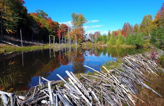 Lanaudière, Québec, Canada Lanaudière, Québec, Canada