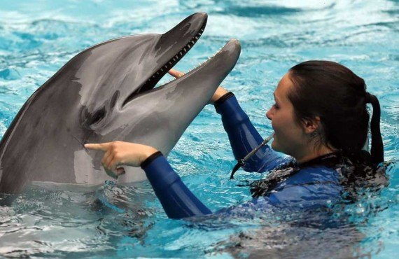 1-marineland-toronto.jpg 1-marineland-toronto.jpg