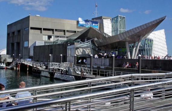 1-new-england-aquarium-boston.jpg 1-new-england-aquarium-boston.jpg