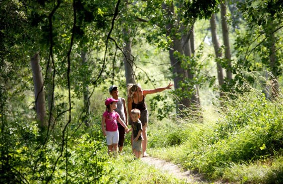 1-randonnee-ecotouristique-valga.jpg 1-randonnee-ecotouristique-valga.jpg