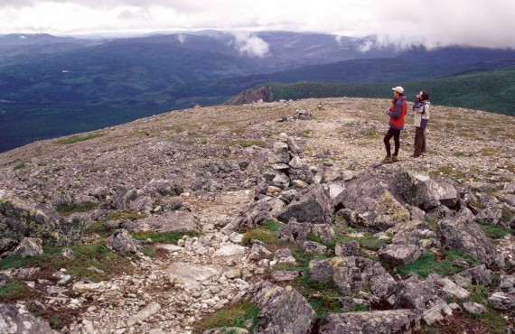 1-randonnée-pedestre-parc-gaspesie.jpg 1-randonnée-pedestre-parc-gaspesie.jpg