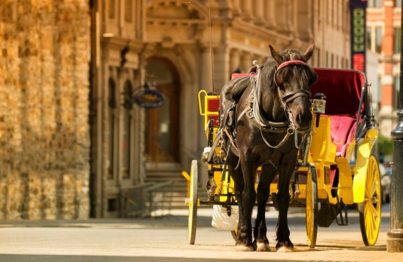 Tour guide VIP du Vieux-Montreal Tour guide VIP du Vieux-Montreal
