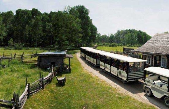 1-train-zoo-st-felicien.jpg 1-train-zoo-st-felicien.jpg