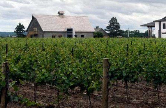 1-vignoble-niagara-inniskillin.jpg 1-vignoble-niagara-inniskillin.jpg
