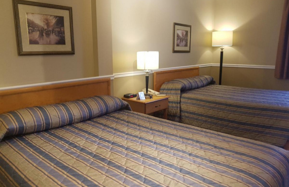 Studio 2 queen beds Studio 2 queen beds