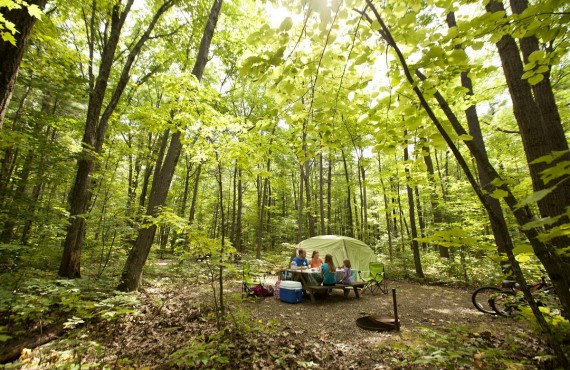 Oka Park Campground Oka Park Campground
