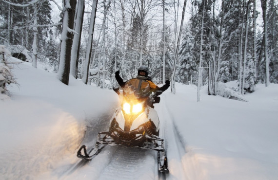 Sentiers en forêt Sentiers en forêt