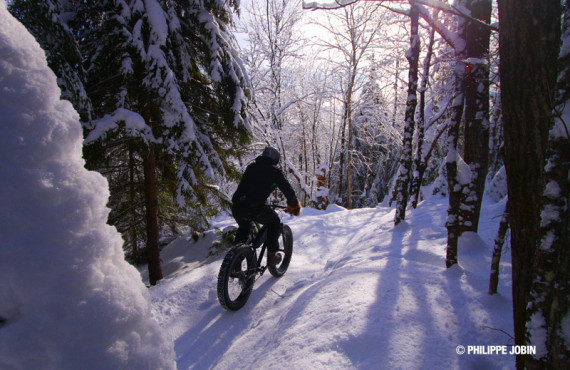 Fat Bike Fat Bike