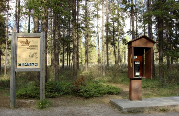 2-camping-du-mont-whistlers 2-camping-du-mont-whistlers
