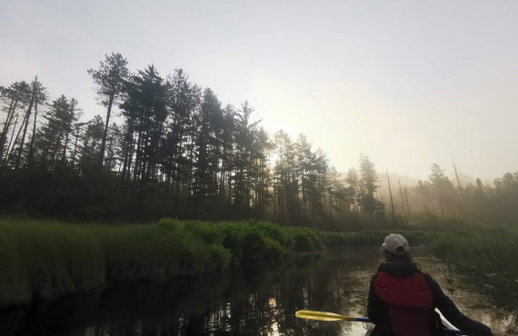 Les méandres du parc de la Mauricie Les méandres du parc de la Mauricie