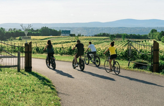 Cycling on Ile d'Orleans, QC