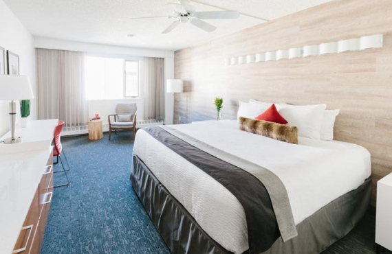 Chambre standard 1 king Chambre standard 1 king