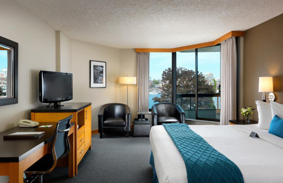 1 king room 1 king room