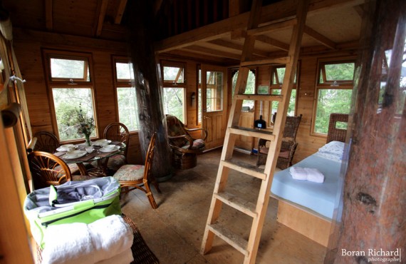2-interieur-cabane-arbre 2-interieur-cabane-arbre