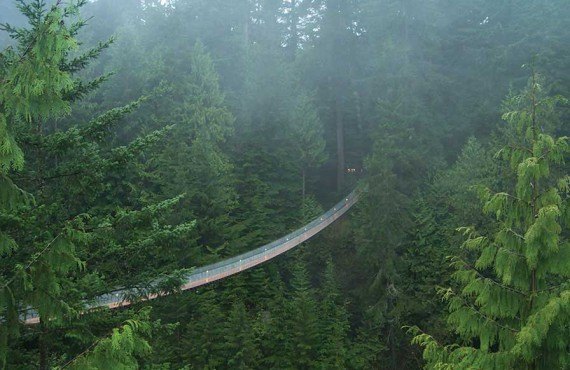 Suspension bridge of Capilano, Vancouver, BC