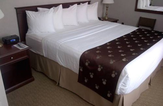 Quality Inn & Suites - Chambre lit King Quality Inn & Suites - Chambre lit King