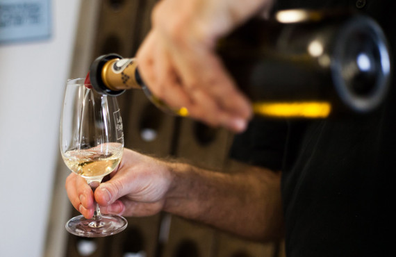 Dégustation des vins Dégustation des vins