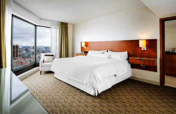Junior Suite Junior Suite