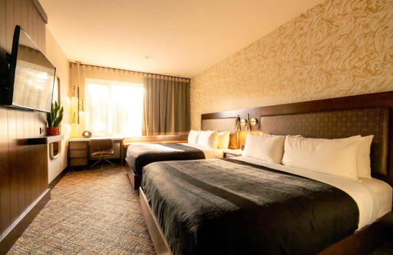 Zed Room, 2 queen beds Zed Room, 2 queen beds