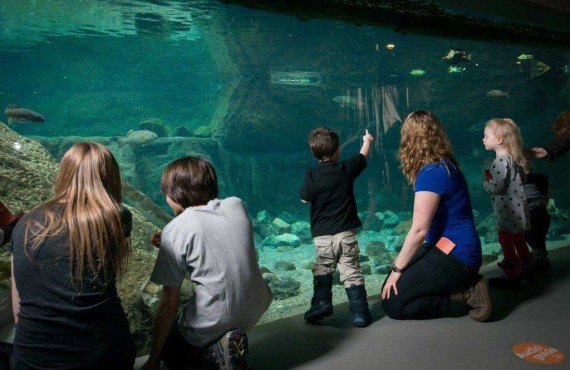 3-Biodome-de-Montreal(Martine_Larose).jpg 3-Biodome-de-Montreal(Martine_Larose).jpg