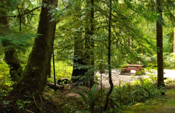 3-camping-goldstream.jpg 3-camping-goldstream.jpg
