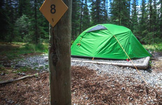 Camping Wapiti - Emplacement pour tente