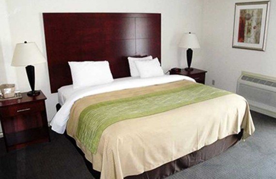 Comfort Inn & Suites - Suite lit King Comfort Inn & Suites - Suite lit King