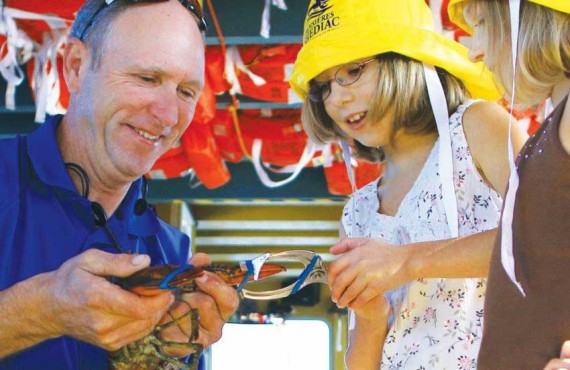 Learn how to crack lobster Learn how to crack lobster