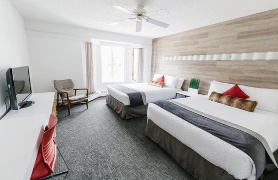 Chambre standard 2 queen Chambre standard 2 queen