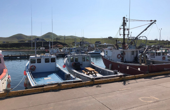 Bateaux de pêche Bateaux de pêche
