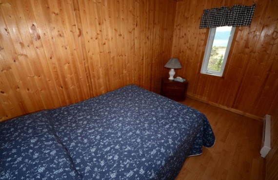 Room Room