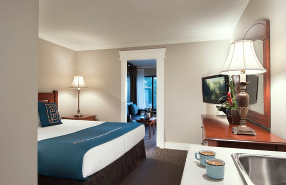 Suite Suite