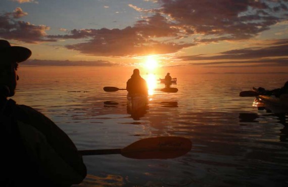 3-kayak-mer-baleine.jpg 3-kayak-mer-baleine.jpg