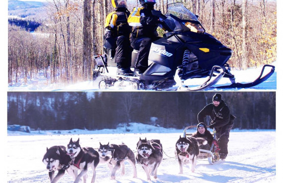 Duo Motoenige et Traineau à chien Duo Motoenige et Traineau à chien