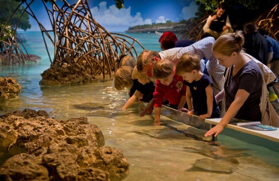 3-new-england-aquarium-boston.jpg 3-new-england-aquarium-boston.jpg