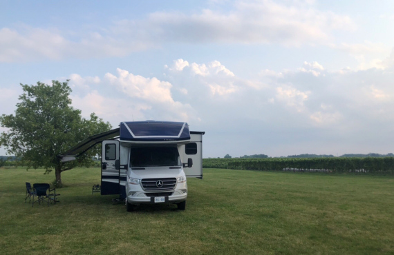 Camping dans un vignoble Camping dans un vignoble