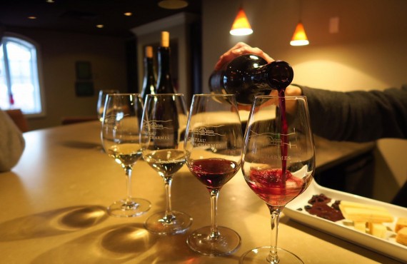 3-vignoble-chateau-charmes 3-vignoble-chateau-charmes