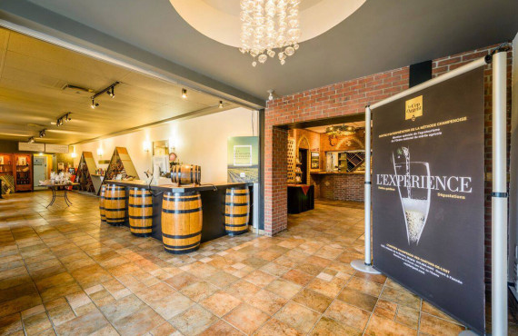 Visit the winery