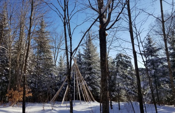 Tipi Tipi